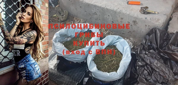 ПСИЛОЦИБИНОВЫЕ ГРИБЫ Семилуки