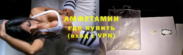 ГАЛЛЮЦИНОГЕННЫЕ ГРИБЫ Семёнов