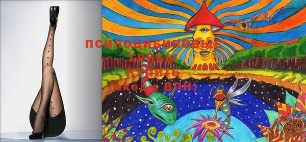 ПСИЛОЦИБИНОВЫЕ ГРИБЫ Семилуки