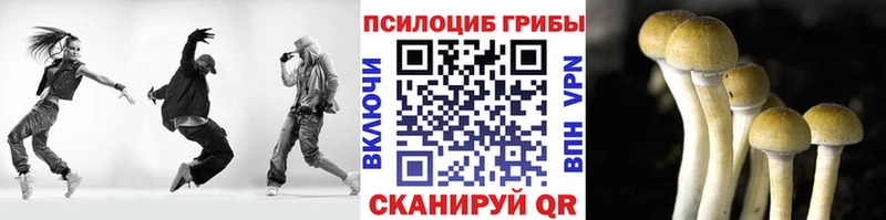 Купить  Алейск  Псилоцибиновые грибы прущие грибы 